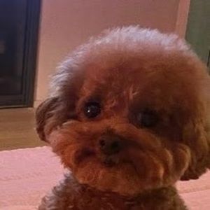 Meet your Posher, Mahika